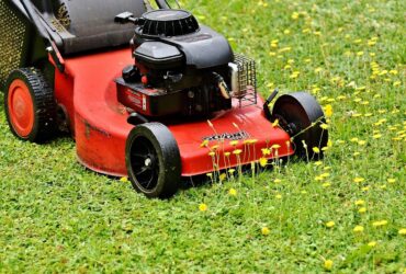 Same-Day Lawn Mower Repair Denver